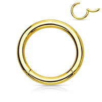 High Quality Precision Gold PVD over 316L Surgical Steel Hinged Segment Seamless Hoop in Various Sizes